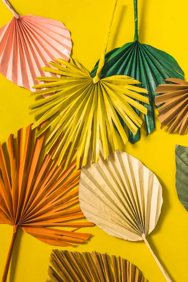 Dried Palm Spear for Flowers Decoration