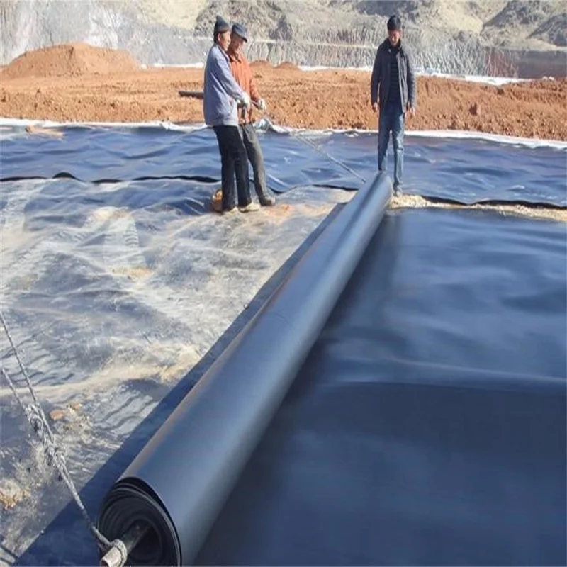 Fish Pond Liner High Quality Reinforced and Texture Hdpe Waterproof Geomembrane 4m/6m Plastic 15mm Plastic Fish Pond Liner