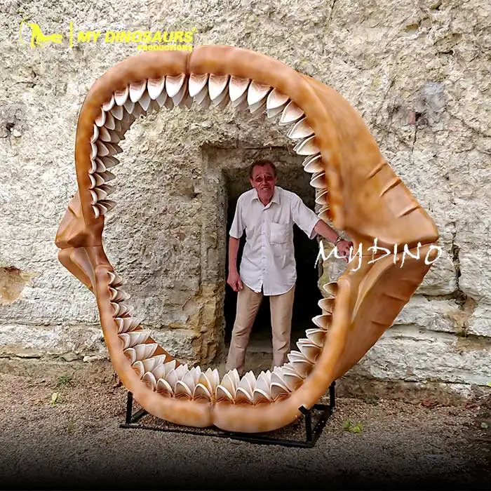 My Dino Fiberglass Fossil Shark Teeth for Museum