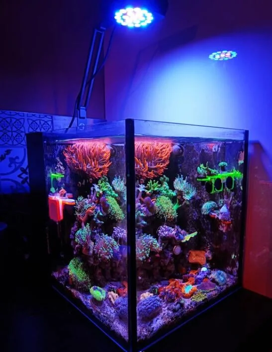 2024 MICMOl 60W THOR Marine WRGB Full Spectrum App Control LED Aquarium Light for Freshwater Reef Aquarium Aquascaping