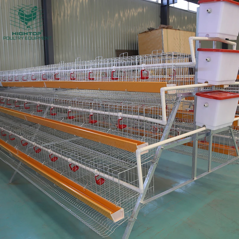 Hot Dip Galvanized a Type 3 Tier 4 Tiers Layer Chicken Egg Cage for Laying Sale in Rwanda