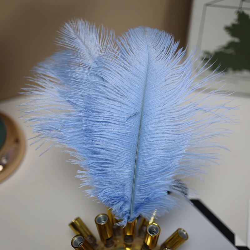 Wholesale Factory Wine Red Ostrich Feathers 50PCS 25-30cm Feathers for Home Decor Carnival Costumes Wedding Parties