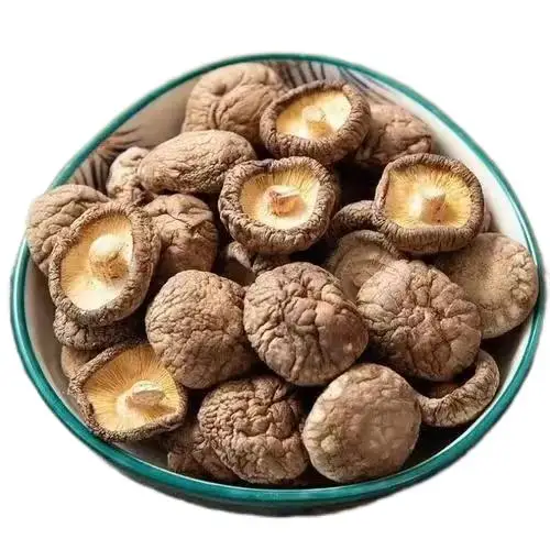 Dry shiitake mushroom 13%Max moisture dried mushroom for sale shiitake brown  mushrooms