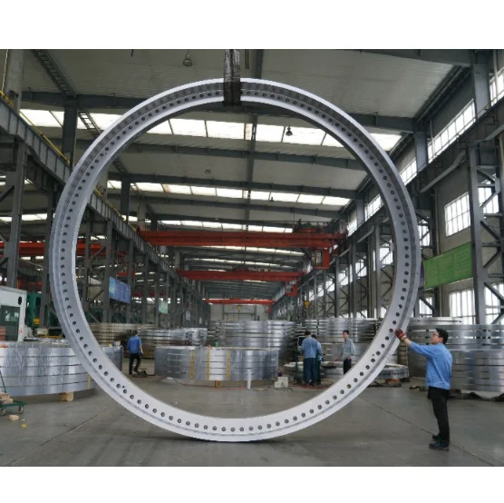 Professional manufacturer of large diameter forged flange