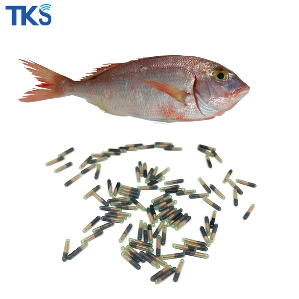 FDX-B 134.2khz 1.25*7MM bio-glass RFID fish microchip with injection syringe