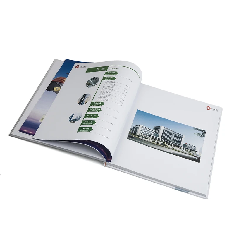 
Design and Printing of Coloured Pages and Flyers of Brochures for Enterprises of Picture Book Printers and Magazine Catalogues 