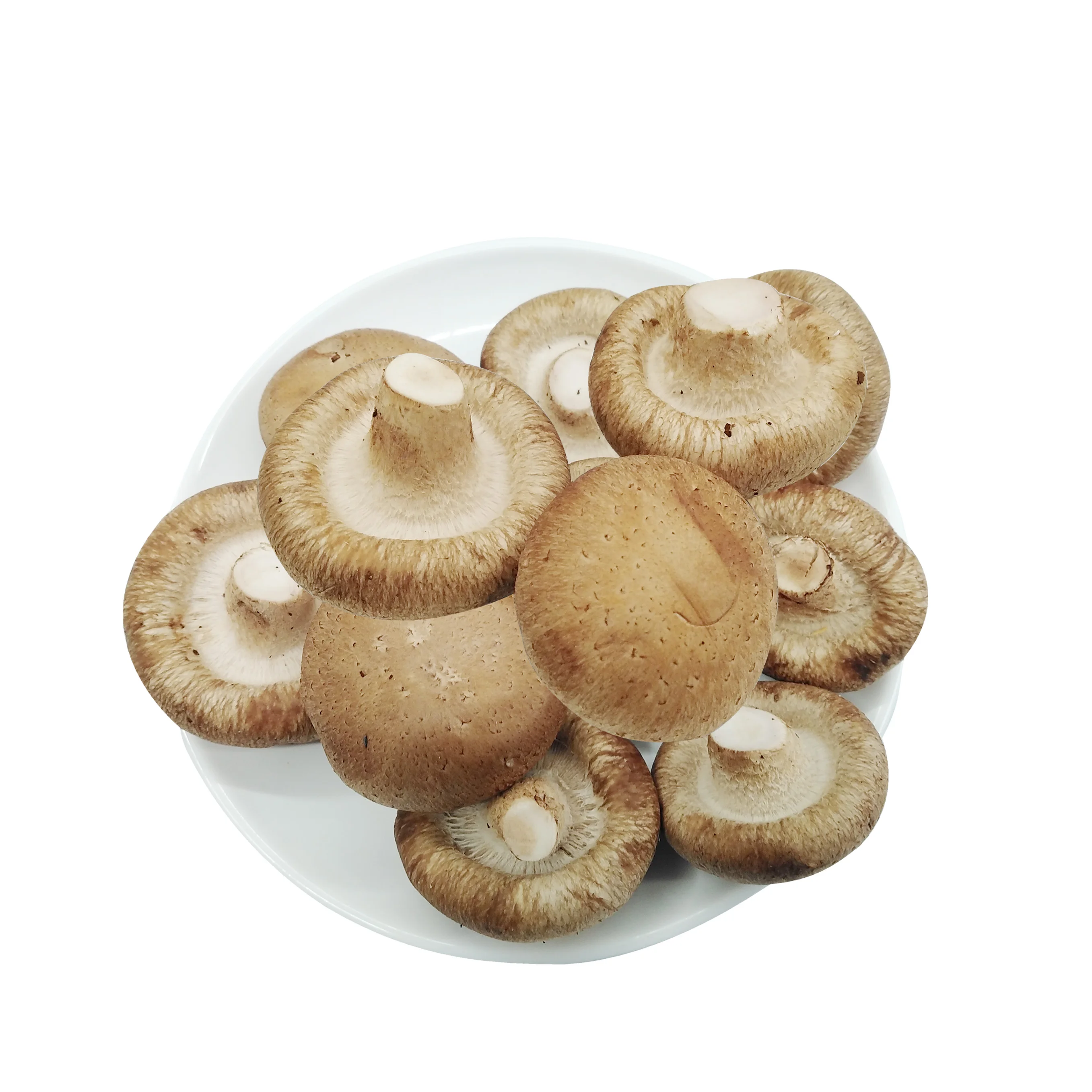 
2021 Hot selling newest grown fresh magic mushrooms 