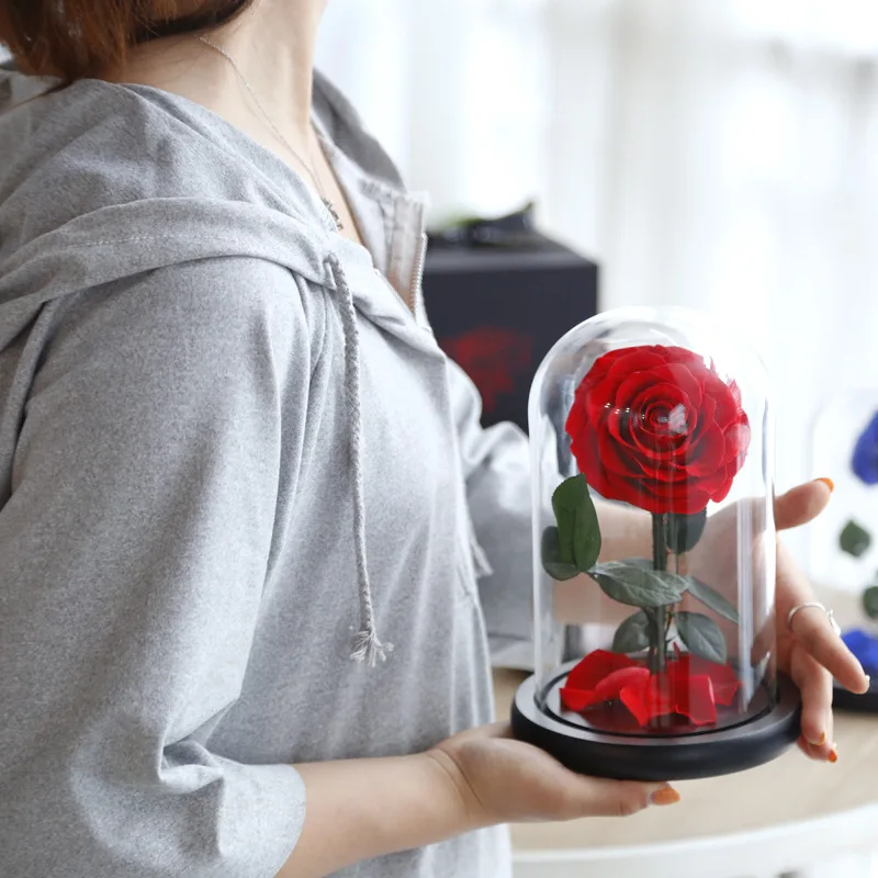 Wholesale Beauty Beast Enchanted Bella Rose preserved rose dome preserved rose in glass