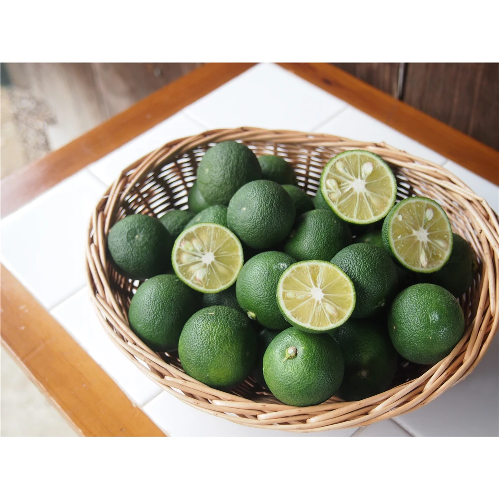 
Flavors liquid cooking pure food savory flavor from japanese 