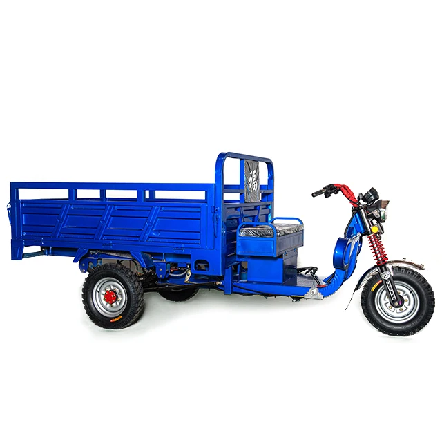 2021 Cheaper Strong Power 60v 3000w Electric Tricycle Cargo Electric Trike Tricycle For Cargo Electric Van For Global