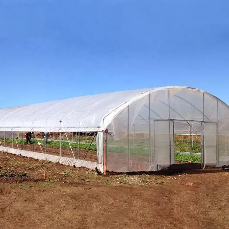 Low Cost Glass Greenhouse PE Greenhouse Multi-Span Greenhouse