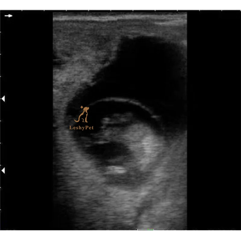 Портативный сканер для лошадей