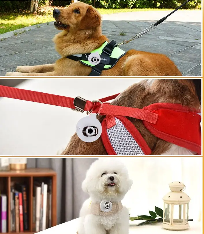 Pet Supplies Pet social light projection LED customized photo name pet lights dog social lamp