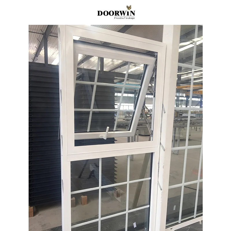 Doorwin Modern Virginia thermal break aluminum vertical sliding hollow glass dust proof awning windows