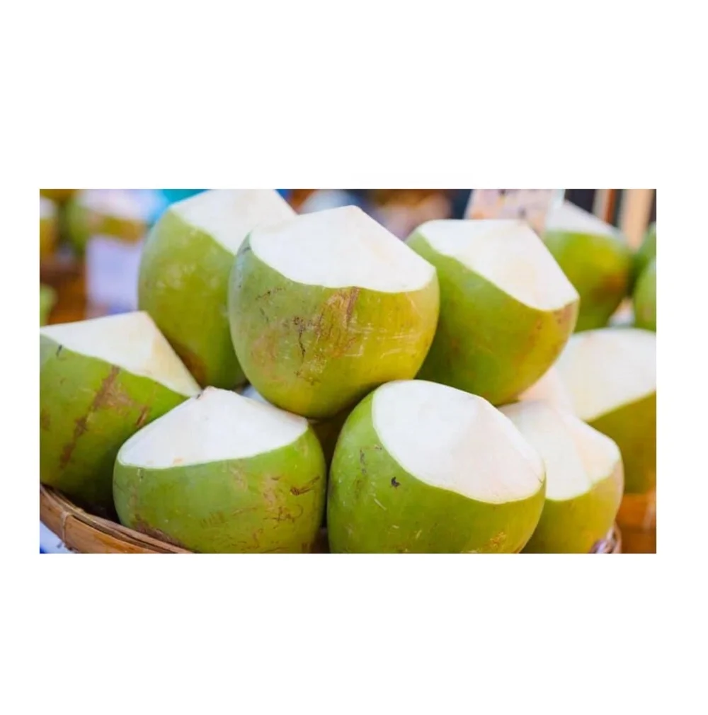 The Best of Healthy Drinking Young and Fresh Coconut Fruit With Weight 900 to 1.200 g From Thailand