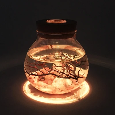 Sea Hornbeam and seashells in bottle with multi color LED light sand nautical gift house decor home decoration gift desktop