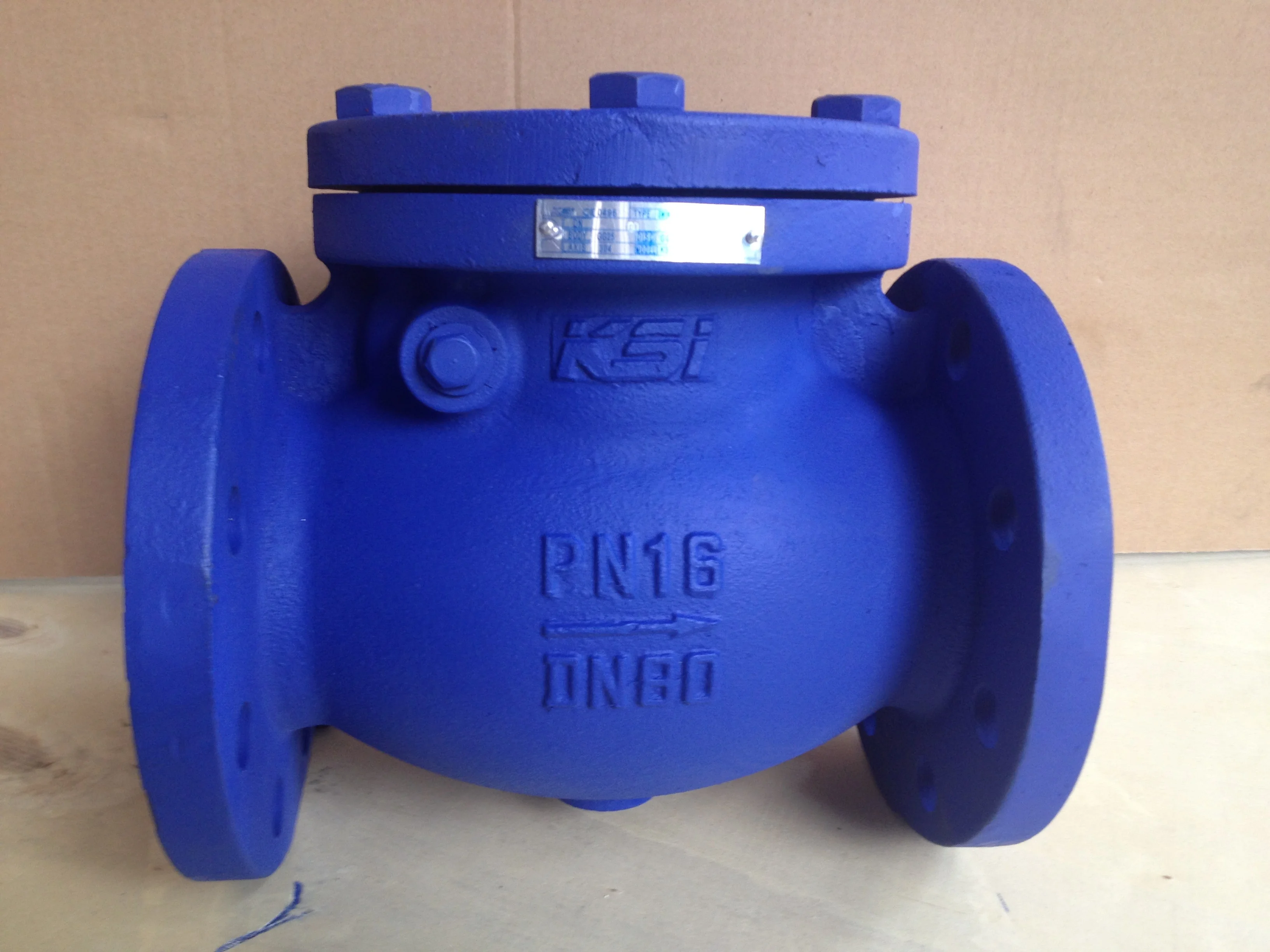 
DIN standard cast iron check valve with good quality China 
