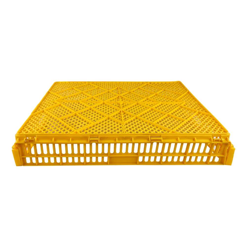 New design plastic hatching egg crate Stackable folding Poultry Hatching Egg Tray box for breeder farm