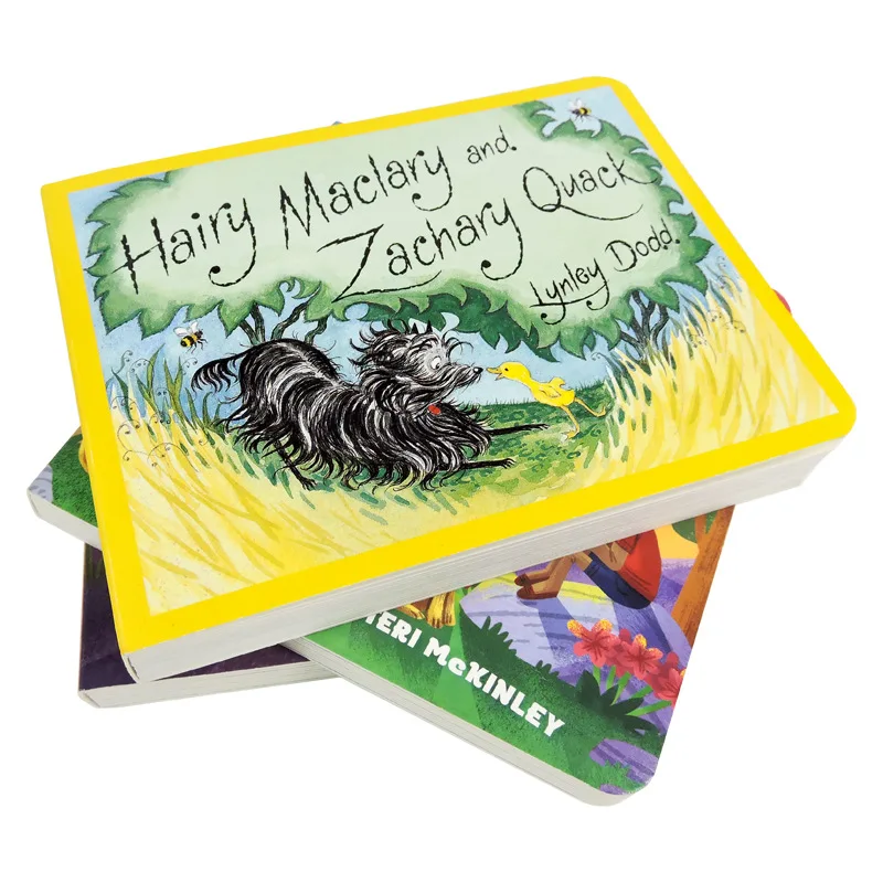 High Quality Custom Hardcover Book Children Color Print English French Educational Learning Paper Paperboard Printing