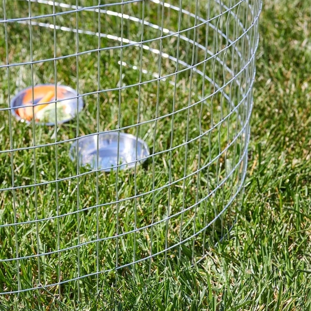 High Quality Stainless Steel Welded Wire Mesh Electro Galvanized Welded Iron wire mesh