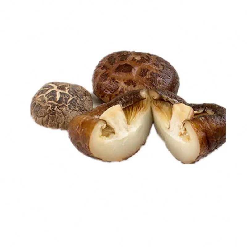 Latest wholesale edible mushroom agricultural products dried food flower mushroom