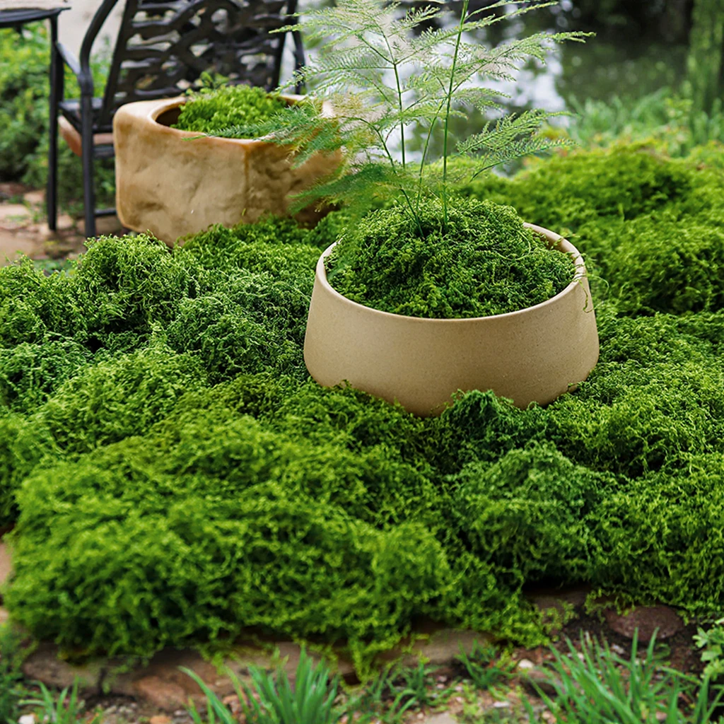Wholesale Flocking Potted Green Moss Artificial Plant Sphagnum Peat Wall Art Office Decor