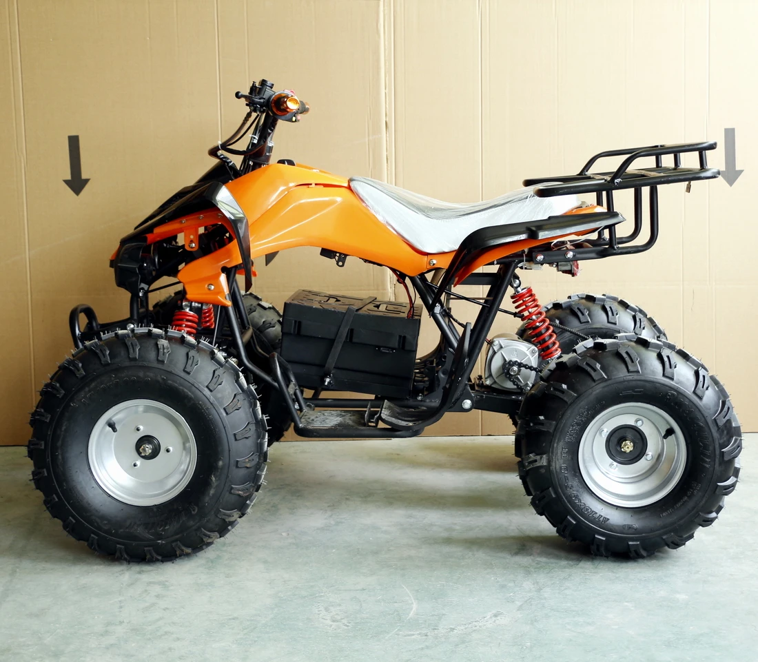  Защита от солнца построен чтобы закончить 48V 1000W/детскй 4-колесный