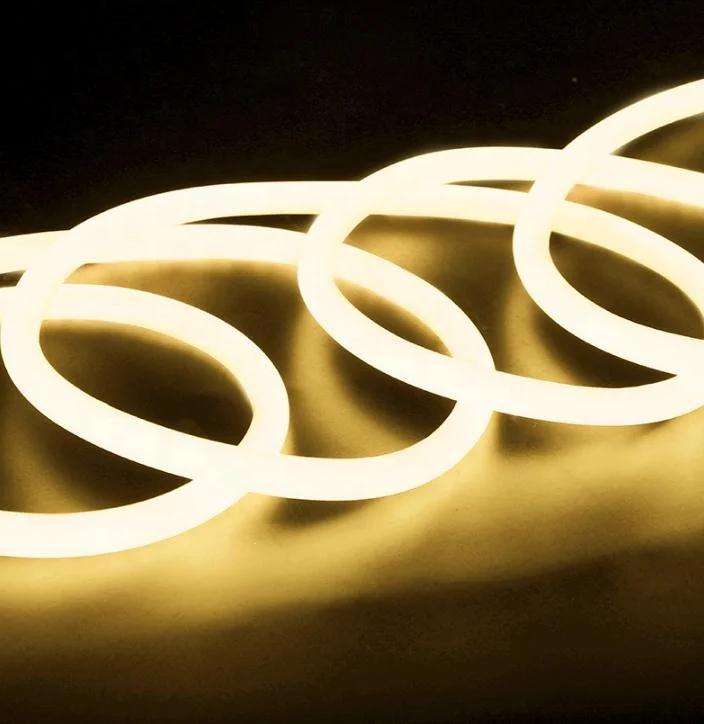 Hot Sale Silicone Neon Strip 12V 24V 110V 120V 240V 230V RGB 360 Degrees Flexible Led Neon Light RGB Neon Strip Holiday Lights