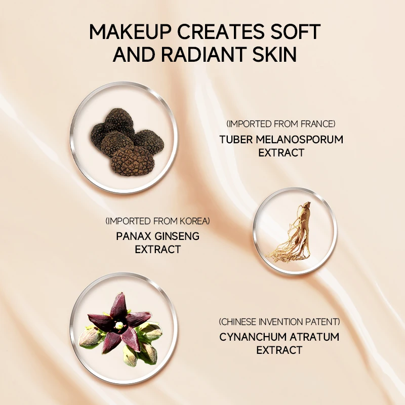New Product Cushion Foundation Moisturize Skin Natural Color Air Cushion for Face