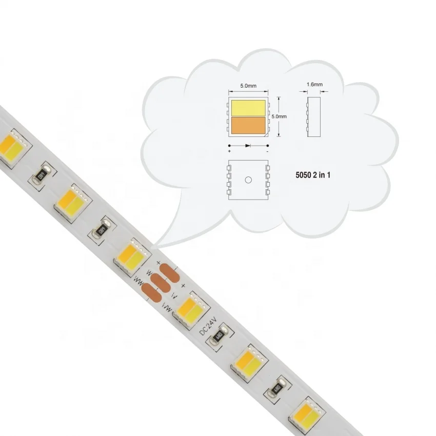 5050 2in1 Tunable 3000/6000K White LED Strip 60Leds/m