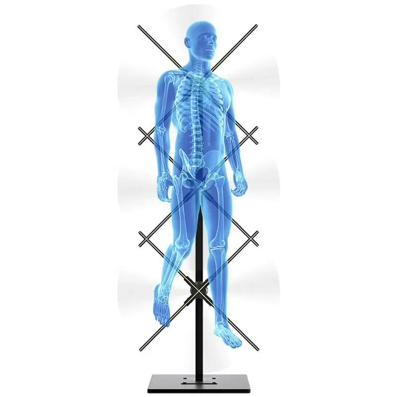 Holographic LED Fan Display Projector Digital Signage And Advertising Display Fan With 3d Hologram Fan