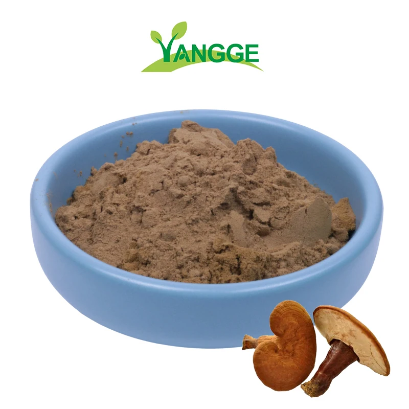 
Chinese Extract Hot Selling Pure Natural Organic Duanwood Reishi Extract polysaccharides 