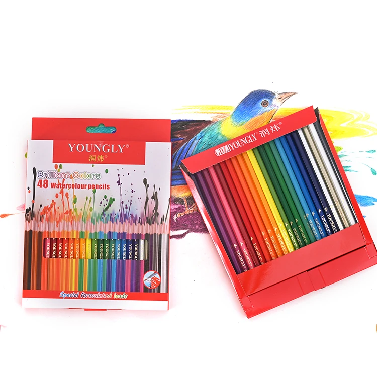 Online Lowest Price Art Craft Supplie Coloring Pencils Set Gift for Beginners