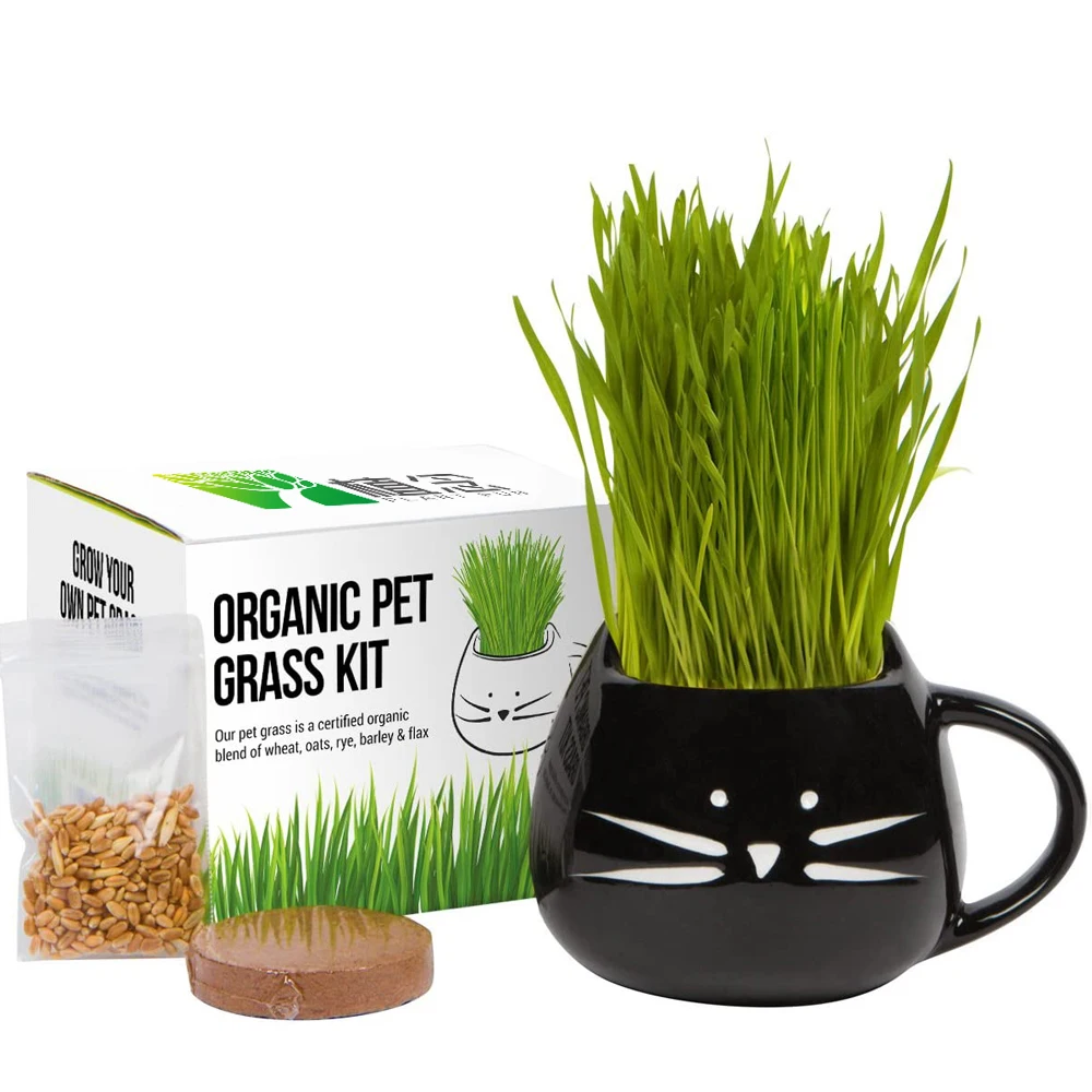 New arrival 100% Organic Cat Dog Grass seeds Growing Kit