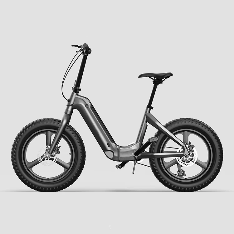 Лучшее качество рекламных 7 скоростей 500/750/1000w последние 20 дюймов с толстыми покрышками складной электрический