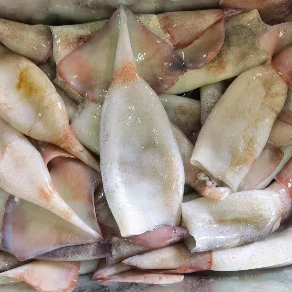 Frozen  Todarodes squid tube with wing skin on 100-120