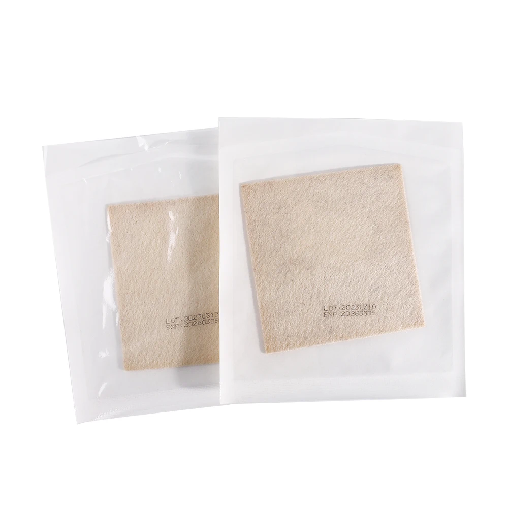 Advanced Moisture-Retentive Alginate Dressing with Silver for Improved Healing in Diabetic and Pressure Ulcers
