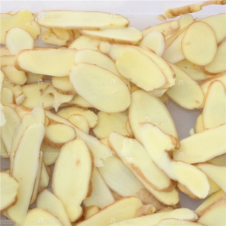FENGXIANG Commercial Vegetable Potato Papaya Coconut Ginger Taro Chips Cutting Slicing Machine