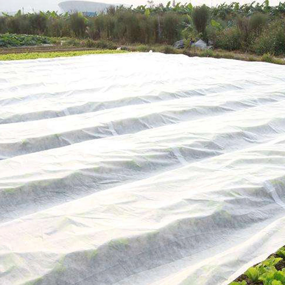 China Manufacturer Nonwoven Fabric for Plant Growing/Weed Control/Weed Mat Ground Cover