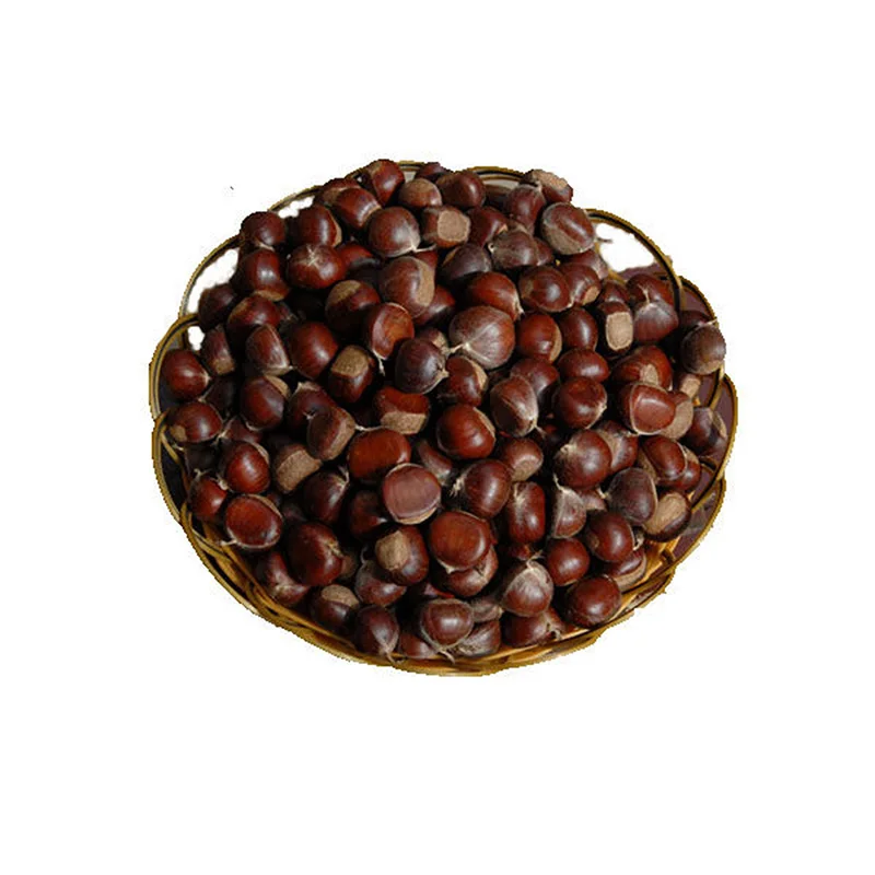 Raw Material 2022 Crop Organic Chestnut from China
