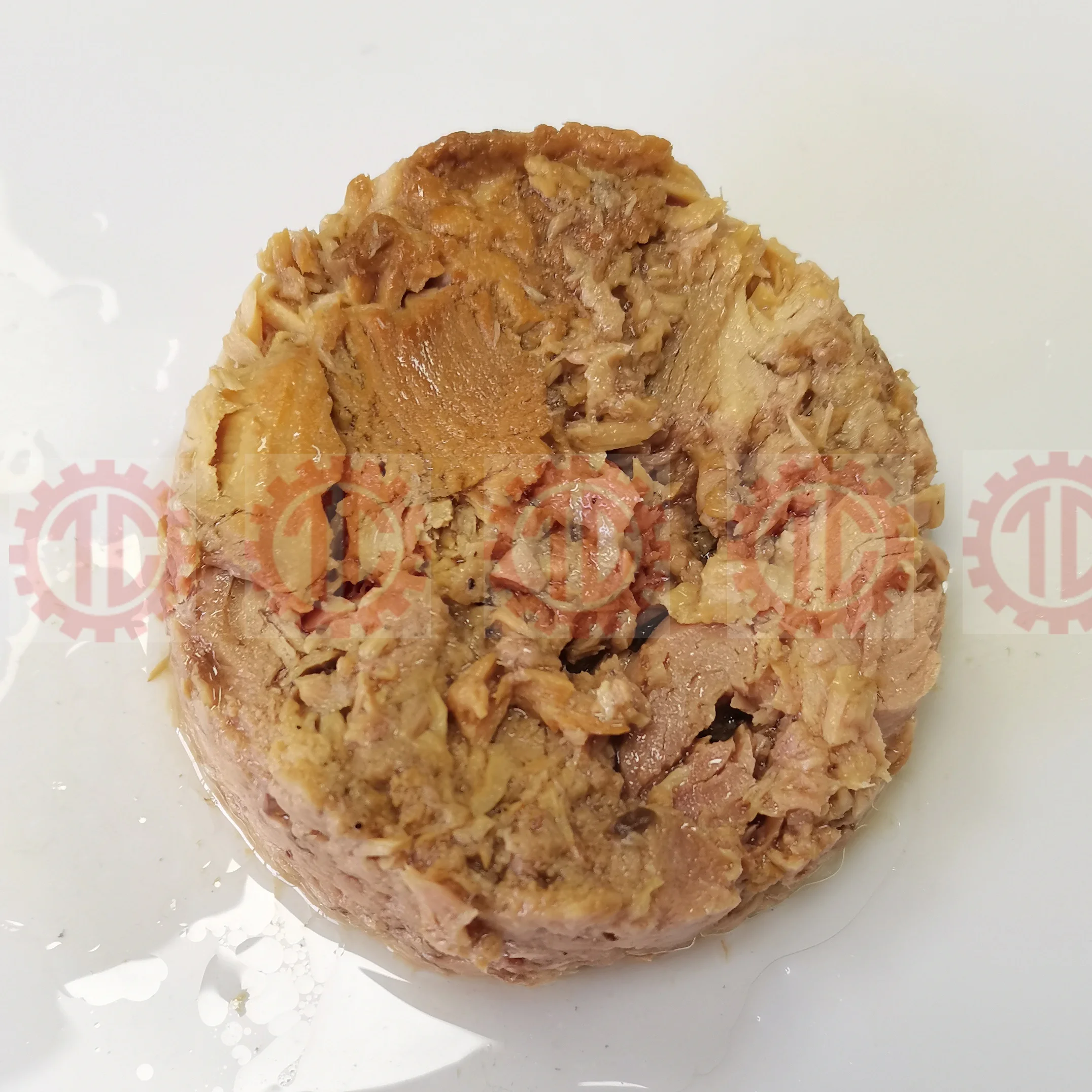 Canned Tuna Fish In Oil 160g 185g Producer