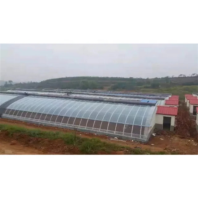 Muchen brand professional manufacturer agricultural polycarbonate solar greenhouses