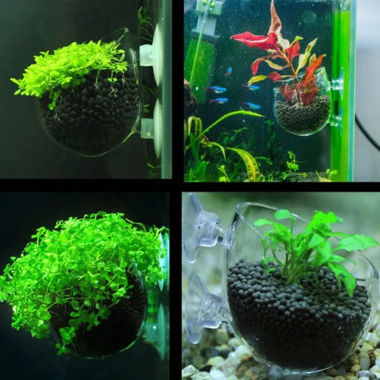 BRICE Succulents Cactus Fish Tank Planter Plant Pot with Shelf Suction Cup Round Shape Window Planter Suction Cup Plant Pot