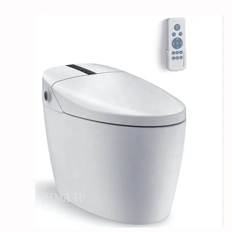 Sanitary Ware Automatic Flush Intelligent Electric Ceramic Smart Bidet Toilet