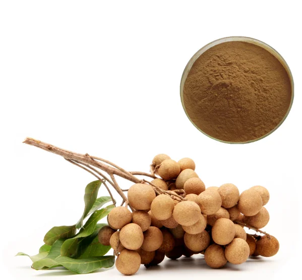 Hot selling 20:1 longan fruit extract longan extract powder
