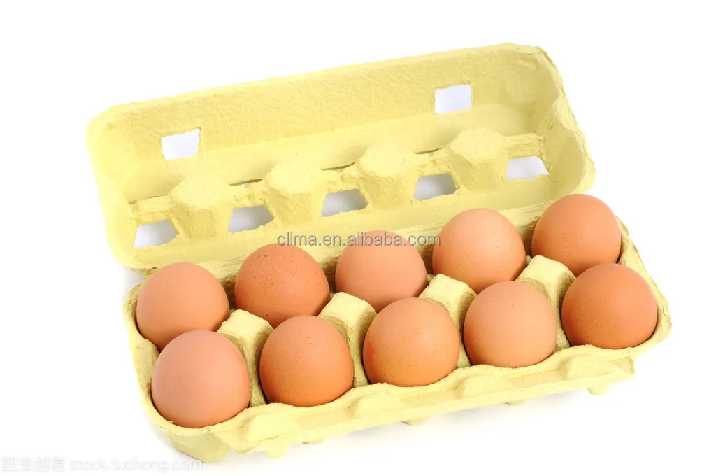 Automatic egg tray and egg box making machine production line cheap products for small business paper box machine