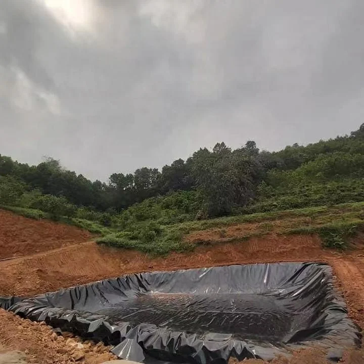 Factory supply swimming pool fish and shrimp farm HDPE/LDPE blue geomembrane with ISO certification