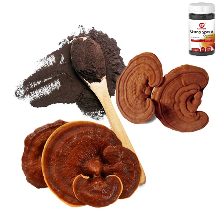 GANOHERB Organic 99.99% Cell-Wall Broken Spore Powder Capsule