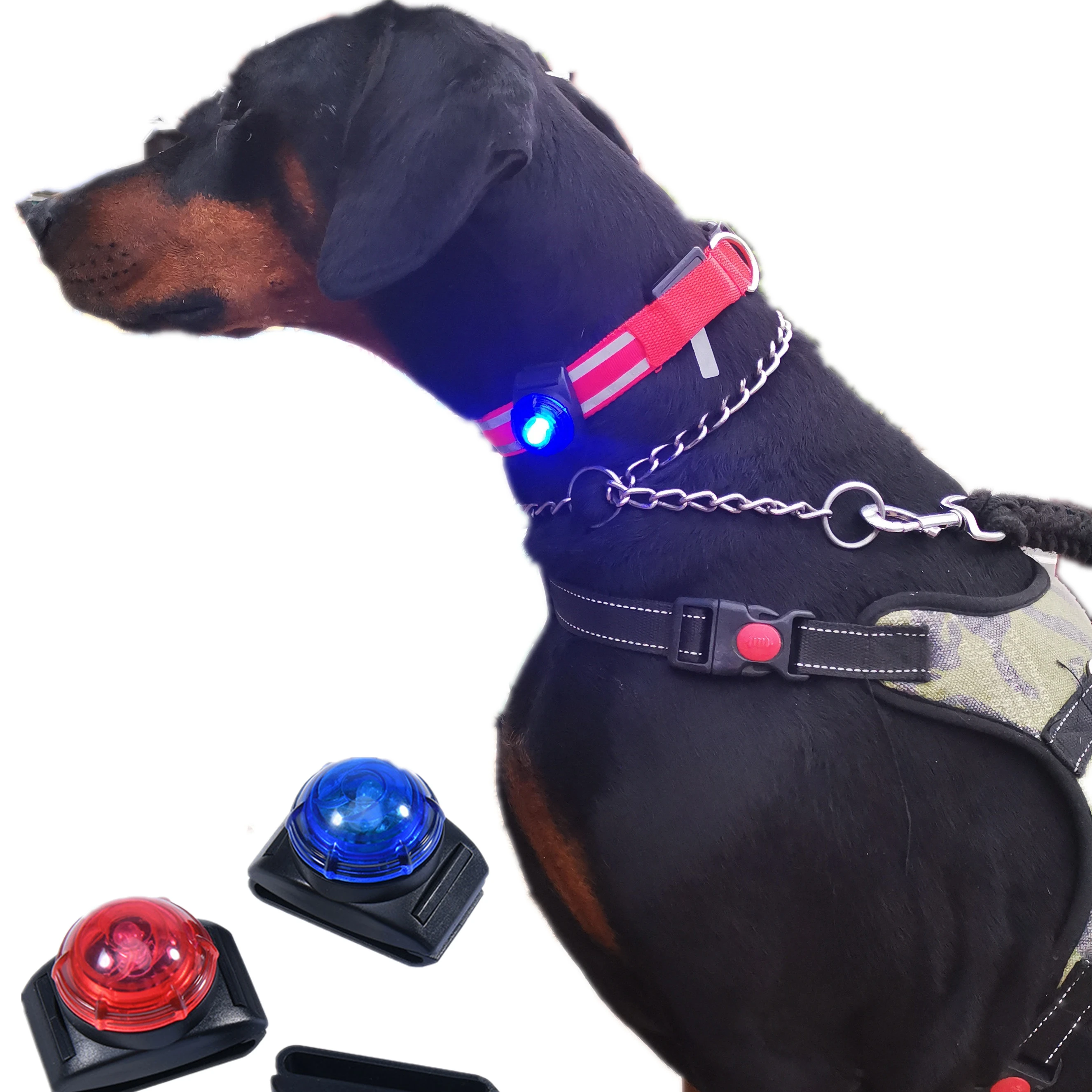 Hot Sale Pet Led Collar Pendant Dog Night Light Safety Clip Flashing Pendant
