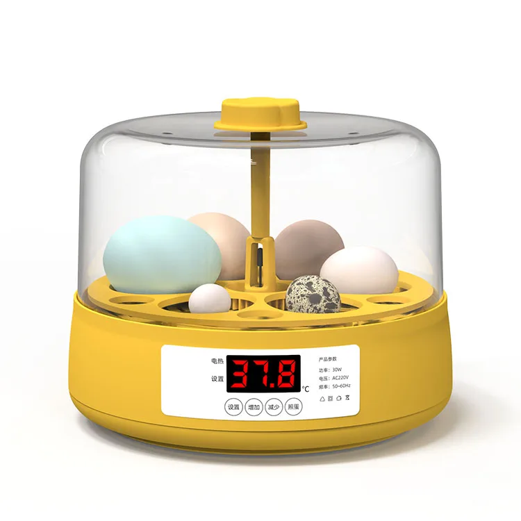 Small size mini 6 chicken eggs capacity hatching incubator automatic for school education